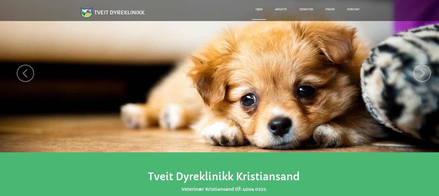Tveit Dyreklinikk