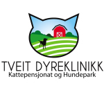 Logo Design 5