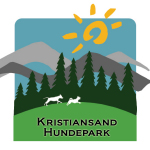 Logo Design 9